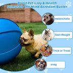 Herding Ball for Dogs, Dual Layered Herding Dog Ball Set for Australian Shepherd - Image 2