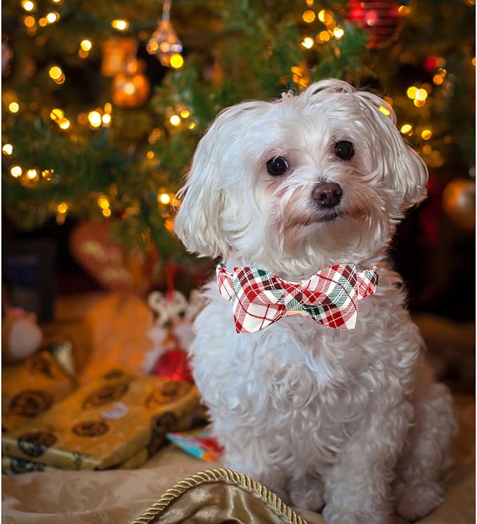 Dog Collar, Christmas Dog Collar Plaid Pet Collar Bow Holiday Bows Girl Boy - Image 5