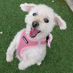 Best Pet Supplies Voyager Step-in Air Harness - Image 7