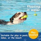 Large Squeaky Tennis Balls for Dogs - Image 5