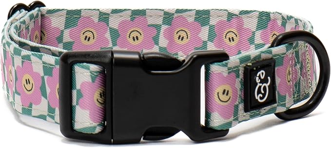 Lucy & Co. Dog Collar by LucyCo