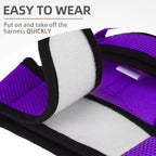PUPTECK Soft Mesh Cat Vest Harness and Leash Set Puppy Padded Pet Harnesses - Image 5
