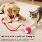Interactive Electric Automatic Rolling Moving USB Rechargeable Self Activated - Image 2