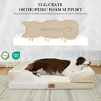 Comfort Expression Orthopedic Dog Bed - Image 2
