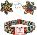 Lionheart Glory Floral Dog Collar - Image 2