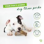 Benebone Wishbone Durable Dog Chew Toy - Image 3