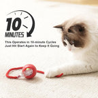 2025 New 2Pack Cat Ball Kitten Toys - Image 5