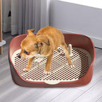 Dog Tray with Wall for Cats and Dogs, Elevated Pet Feeding Station, - Image 8