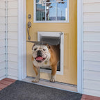 Baboni 3-Flaps Pet Door for Interior and Exterior Doors, Steel Frame and - Image 4