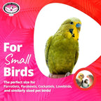 Super Bird Creations SB323 Small Bungee Bird Toy - Image 3