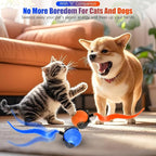 2PCS Interactive Cat Toy for Indoor Cats, Speedy Ball - Image 2