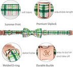 Elegant Little Tail Dog Collar - Image 2
