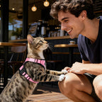 Dooradar Cat Harness and Leash Set, Escape Proof Safe Adjustable Kitten Vest - Image 2