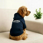Personalized Dog Hoodie, Custom Embroidered Name Pet Hoodie, Warm Winter Outfit - Image 6