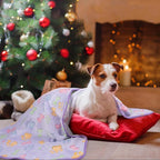 Dono 1 Pack 3 Dog Blankets, Soft Fluffy Fleece Pet Blanket Warm Sleep Mat Paw - Image 7