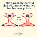 Lucy & Co. Cheery Cherries, Cute Reversible Dog Harness Walking Halter - Image 5