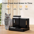 Automatic Cat Feeder and Water Dispenser Set, 2 in 1 Gravity Cat Food Dispenser - Image 5