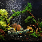 Raeasily Fish Tank Decoration Aquarium Accessories, Shipwreck Decor, Resin - Image 6