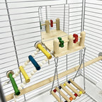 Bird Toys & Wooden Play Gym - Image 6