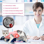 Cat Recovery Suit for Abdominal Wounds or Skin Diseases, Cat Onesie for Cats - Image 2