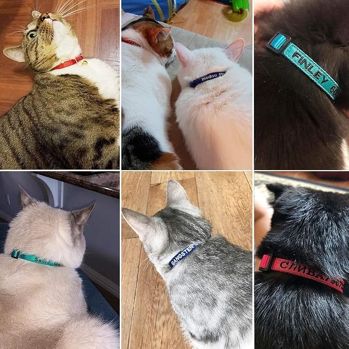 Personalized Nylon Cat Collar Breakaway - Image 7