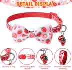 SCENEREAL Breakaway Cat Collar - Image 4
