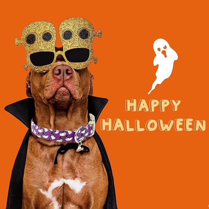 Faygarsle Halloween Dog Collar - Image 6