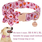 Halloween Pumpkin Dog Collar - Image 2