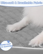 KSIIA Orthopedic Dog Bed for Small Dogs - Image 2