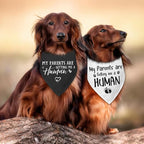 2 Packs My Parents are Getting Me a Human Gender Reveal Dog Bandana Pregnancy - Image 5