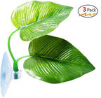 CousDUoBe 3 Pack Betta Fish Leaf Pad Improves Betta's Health by Simulating The - Image 8