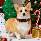 Unique Style Paws Christmas Dog Collar Plastic Buckle - Image 5