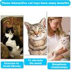 Retractable Cat Toy Wand, 12 Packs Interactive Cat Feather Toys, 9 Assorted - Image 7