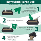 Arm & Hammer Forever Fresh Clumping Cat Litter Cedarwood, Pet Friendly - Image 5