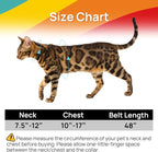Cat Harness and Leash Set - Image 6