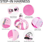 PUPTECK Adjustable Dog Harness Collar and Leash Set, Step in No Pull Pet Harness - Image 2