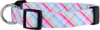 Native Pup Easter Dog Collar, Cute Spring Gift - Image 2