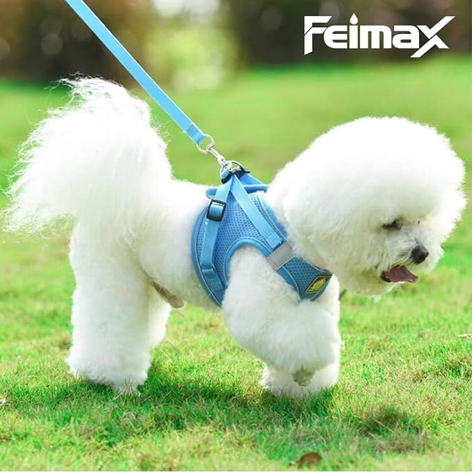 FEimaX Dog Harness and Leash Set, No Pull Breathable Soft Mesh Puppy Vest - Image 4