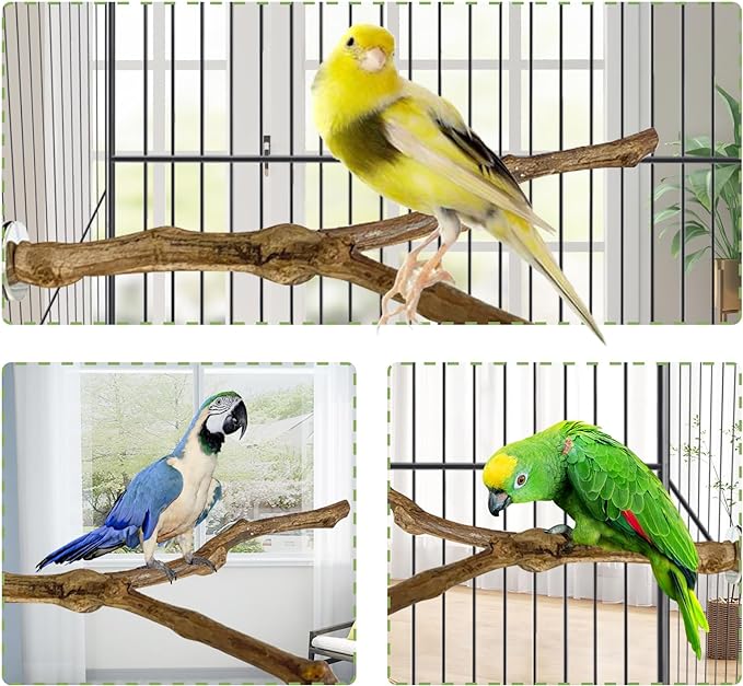 kathson Natural Parrot Perch Bird Stand Pole Wild Grape Stick Paw Grinding Fork - Image 3