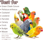 Nut Perch Stand with Interchangeable Materials – Natural, Safe Bird Playset - Image 6