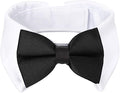 Segarty Black Bow Tie Dog Collar by Segarty