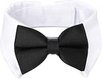 Segarty Black Bow Tie Dog Collar by Segarty