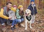K31 Happy Birthday Dad Dog Bandana - Image 5