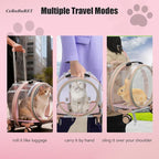 Transparent & Fully Breathable Hard Cat Carrier - Image 5