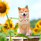 Lionheart glory Dog Collar Bow Collar Floral Dog Collar - Image 6