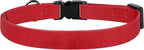 Breakaway Cat Collar Leather - Image 6