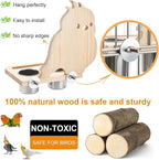 Feeder with Acrylic Mirror & Stainless Steel Bowls, Natural Wood Perch - Image 2