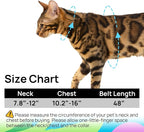 Cat Harness and Leash Set - Image 6