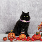 Halloween Cat Collar-2 Pack Cat Collar Orange and Purple Linnet - Image 5