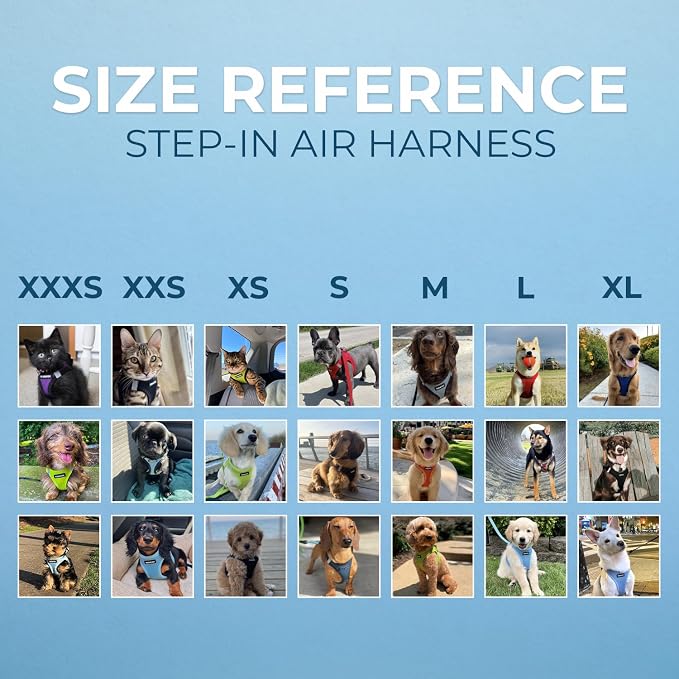 Best Pet Supplies Voyager Step-in Air Harness - Image 6